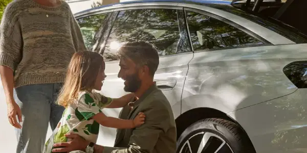 Volkswagen ID.7 trims